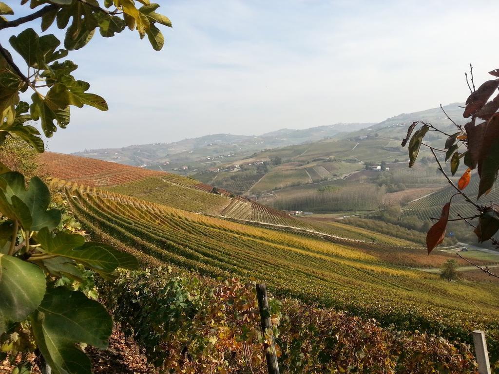 Villa Barbero Alba Langhe Mango Ngoại thất bức ảnh